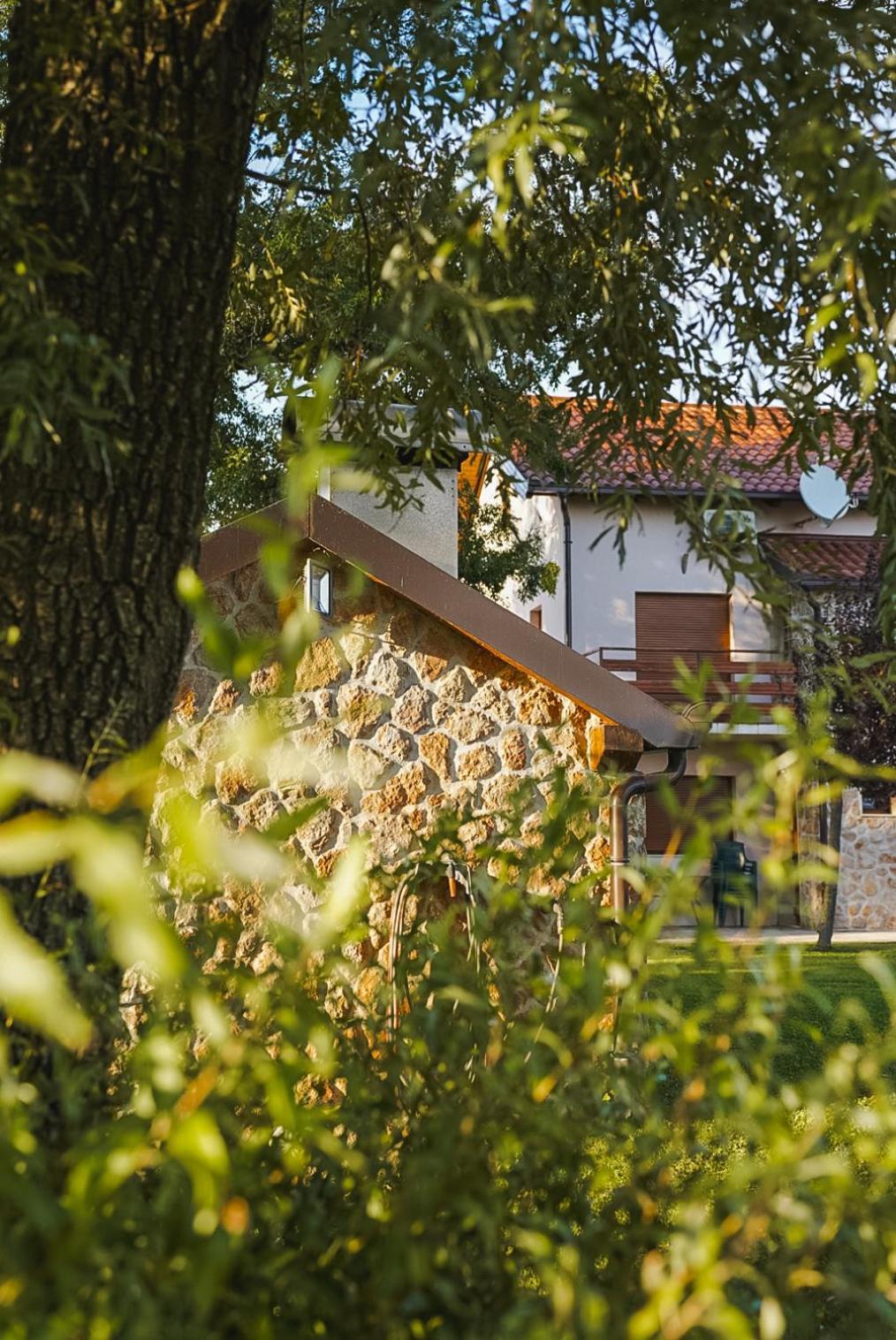 Villa Leko Dream House Cetina المظهر الخارجي الصورة